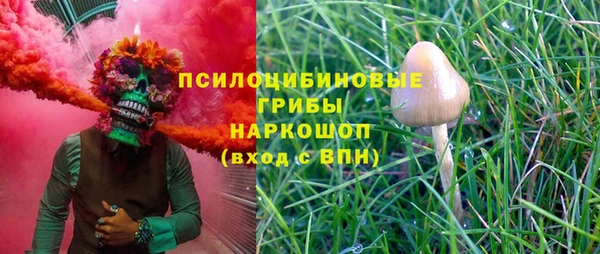 каннабис Алексеевка