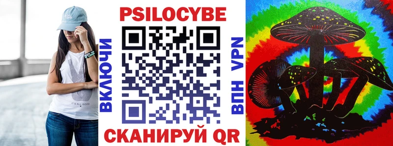 Галлюциногенные грибы Psilocybe  Игарка 
